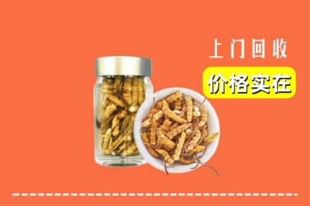 收购资讯:平川区回收散虫草