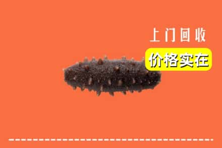 收购资讯:平川区回收海参